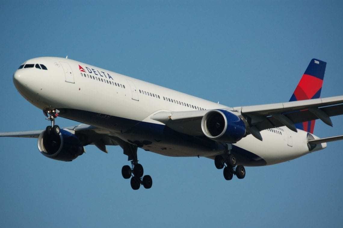 Passenger Sues Delta After Being Attacked By An Emotional Support Dog