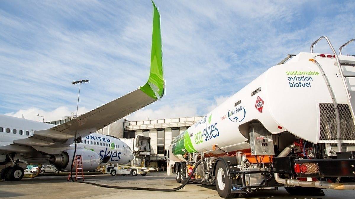 What Do Carbon Offset Fees Actually Achieve?