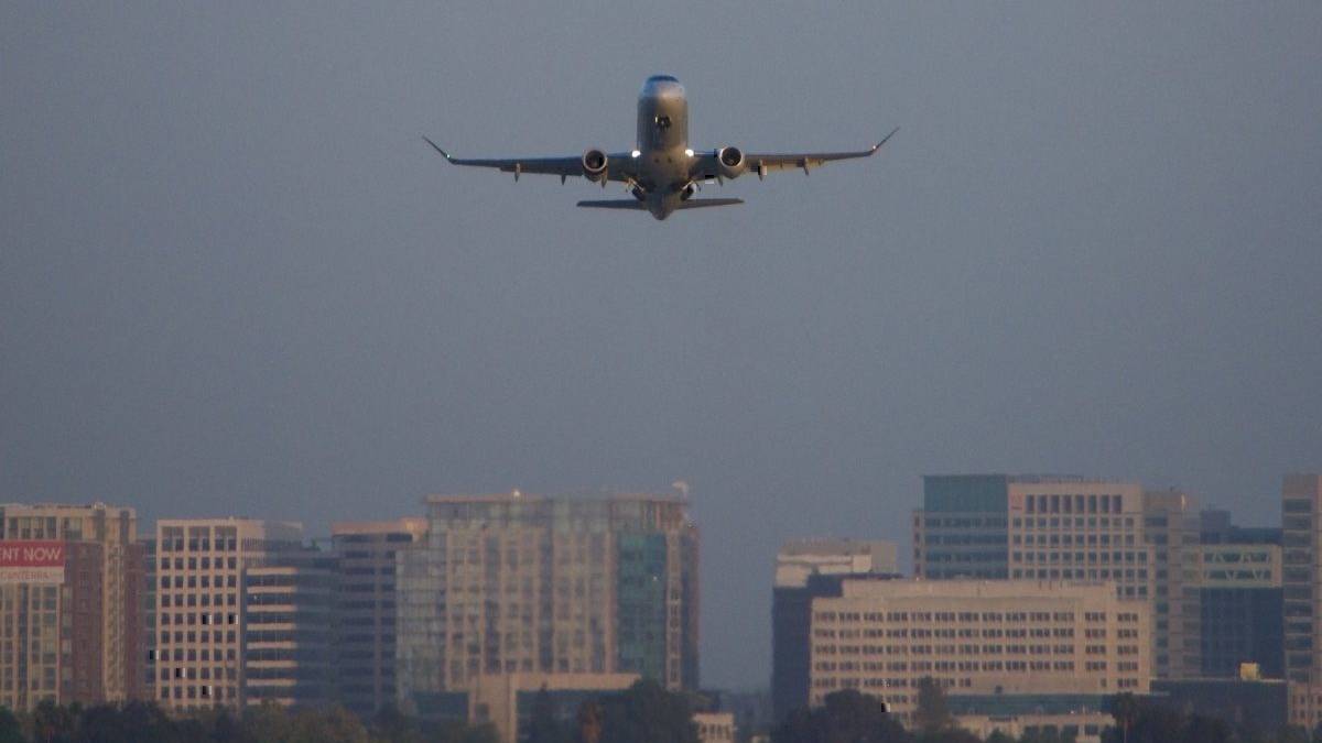 Emotional Support Dog Attacks American Airlines Flight Attendant
