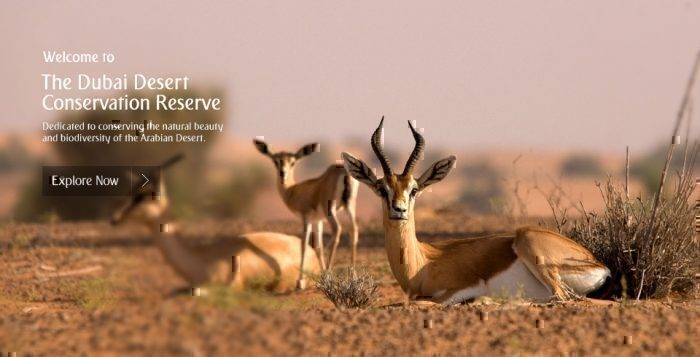 Emirates And Wildlife Preservation, An Exclusive Interview