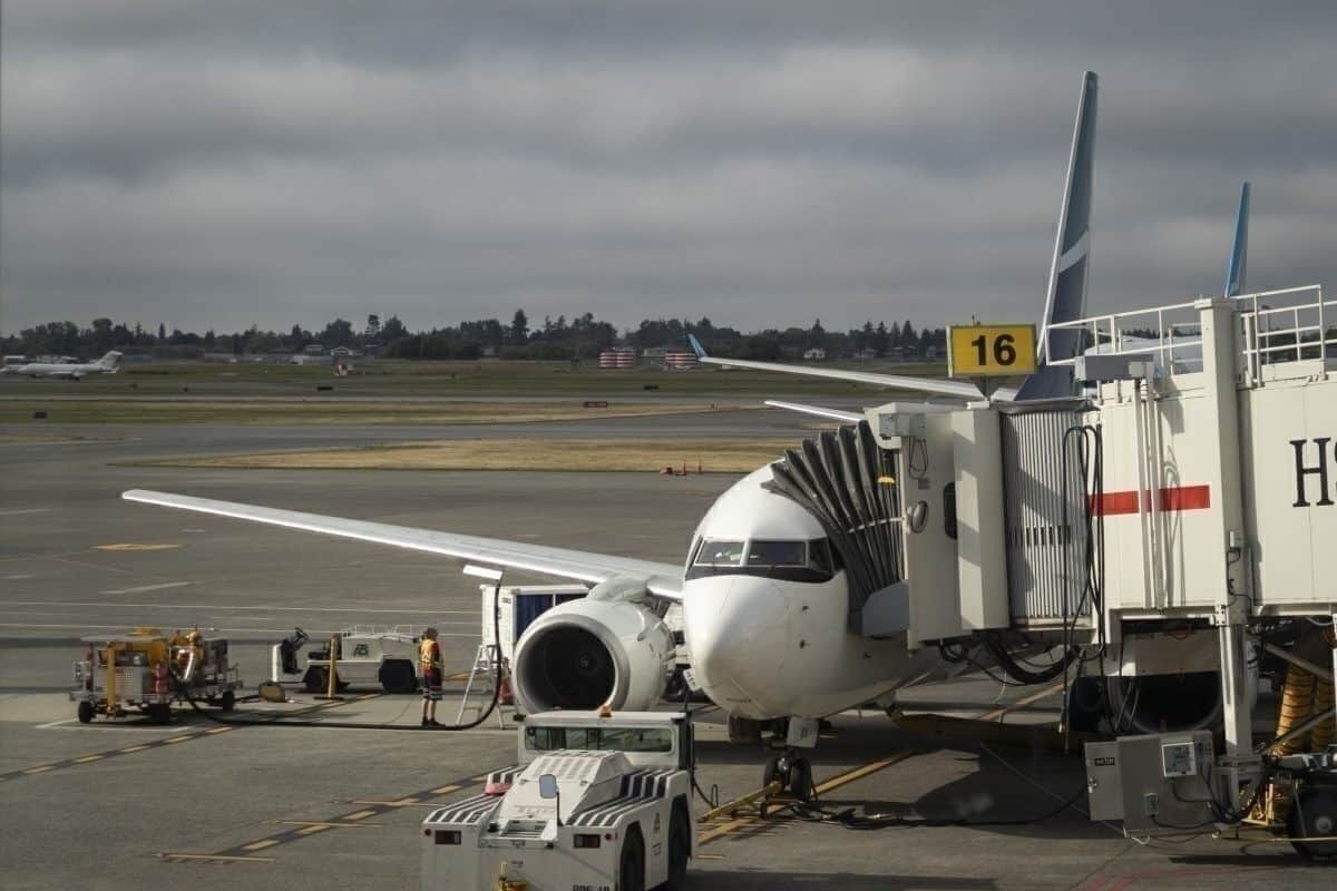Trip Review: WestJet Economy Class Boeing 737-600