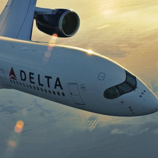 Delta Biofuel Delta Air Lines To Invest In Creating Biofuel From Forest Floor Debris