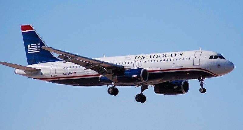 What Happens During a Bird Strike