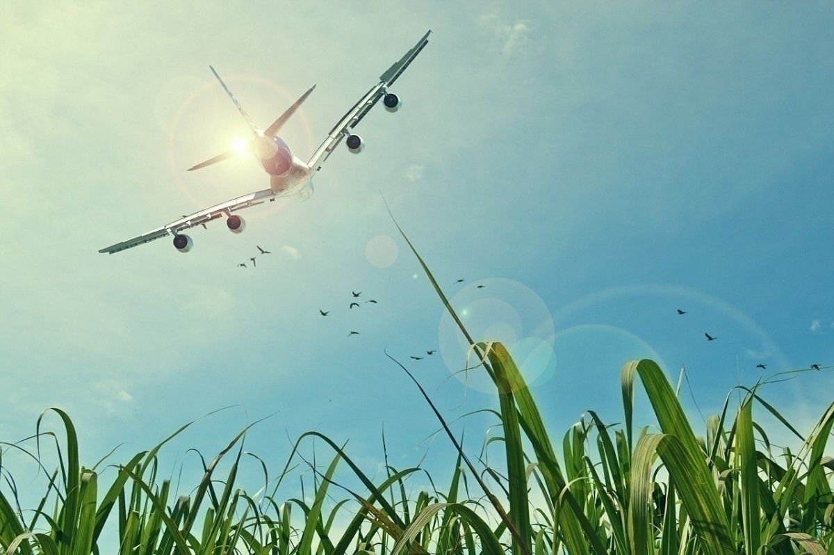 How Aviation Taxes Are Letting The Airline Industry Down