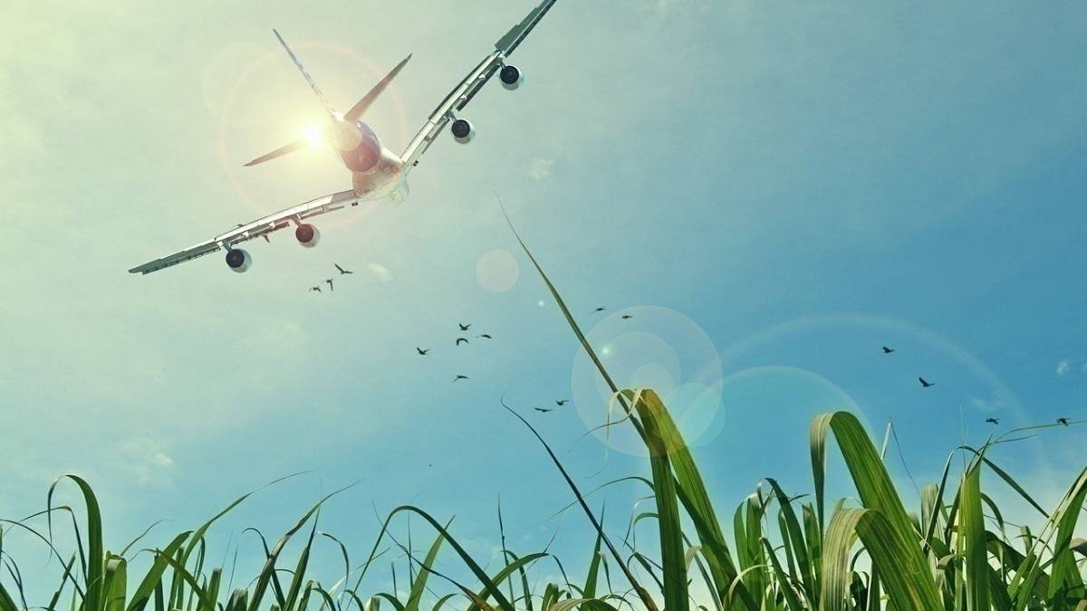 How Aviation Taxes Are Letting The Airline Industry Down