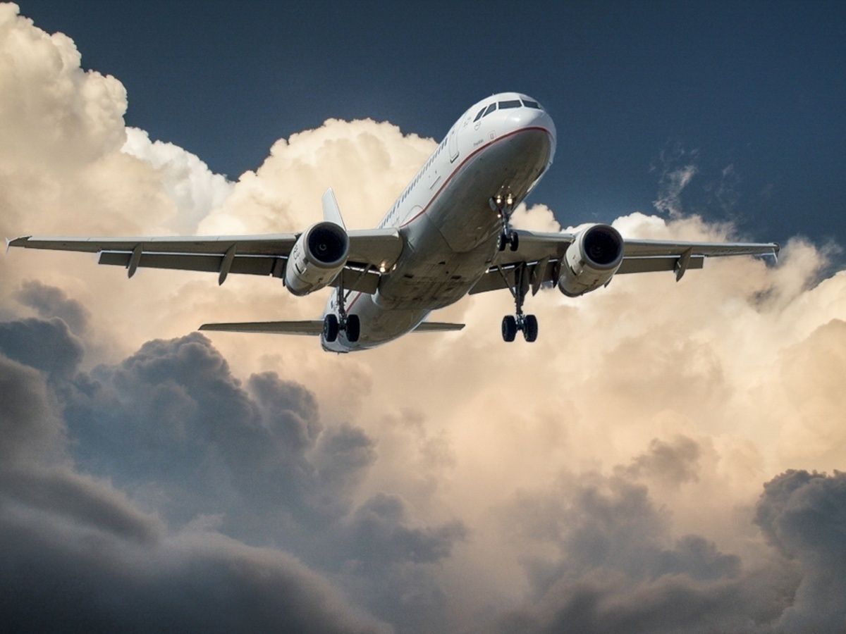 Target 2050? Lufthansa CEO Says Climate Action Should Happen Now