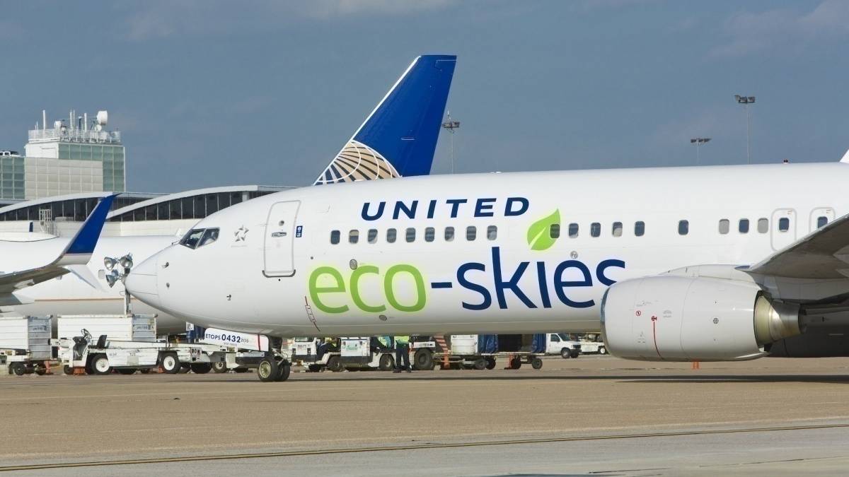 Do Long Haul Flights Really Need Business And First?