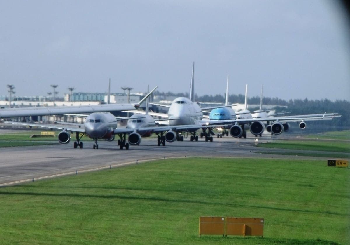 What's Interesting About 2019's Busiest International Routes?