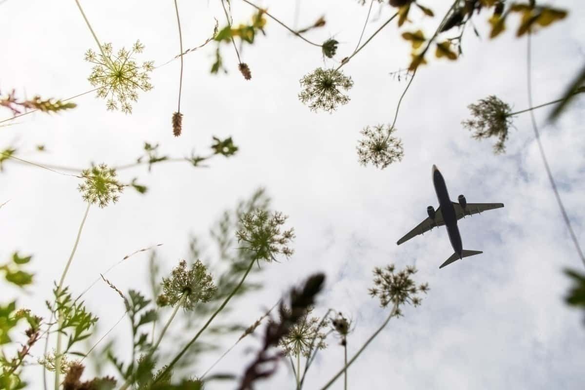Virus Outbreak Has A Postitive Environmental Side Effect