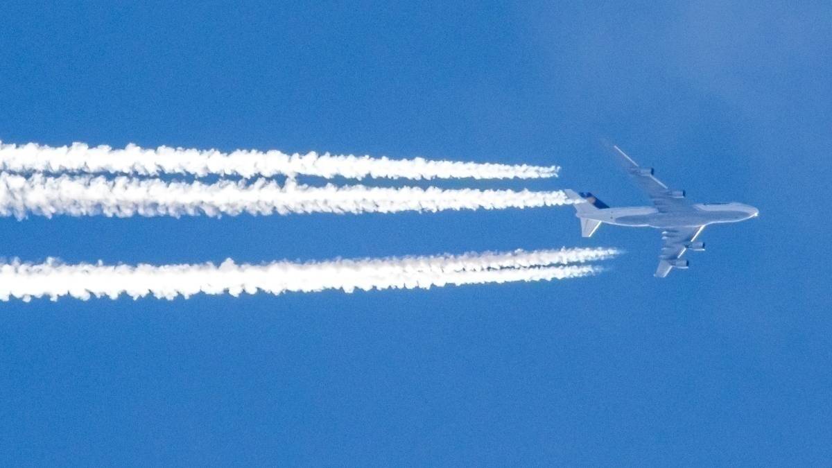 Which Airlines Have The Best Carbon Offsetting Schemes?