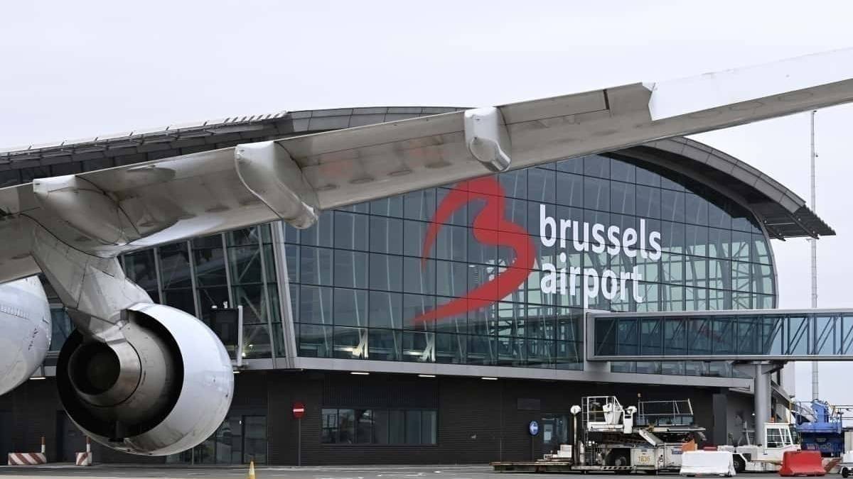 How Brussels Is Tackling The Issue Of Airport Birds