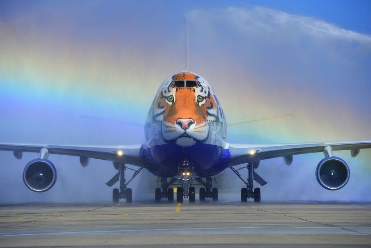The Rise & Fall Of Russia's Transaero