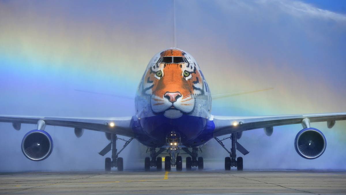 The Rise & Fall Of Russia's Transaero