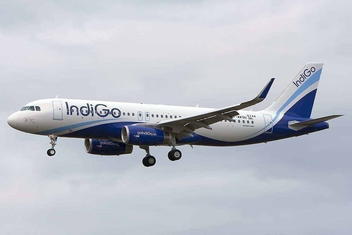 IndiGo Helps Man Who Sold Goat To Fly Home After Cancelled Flight