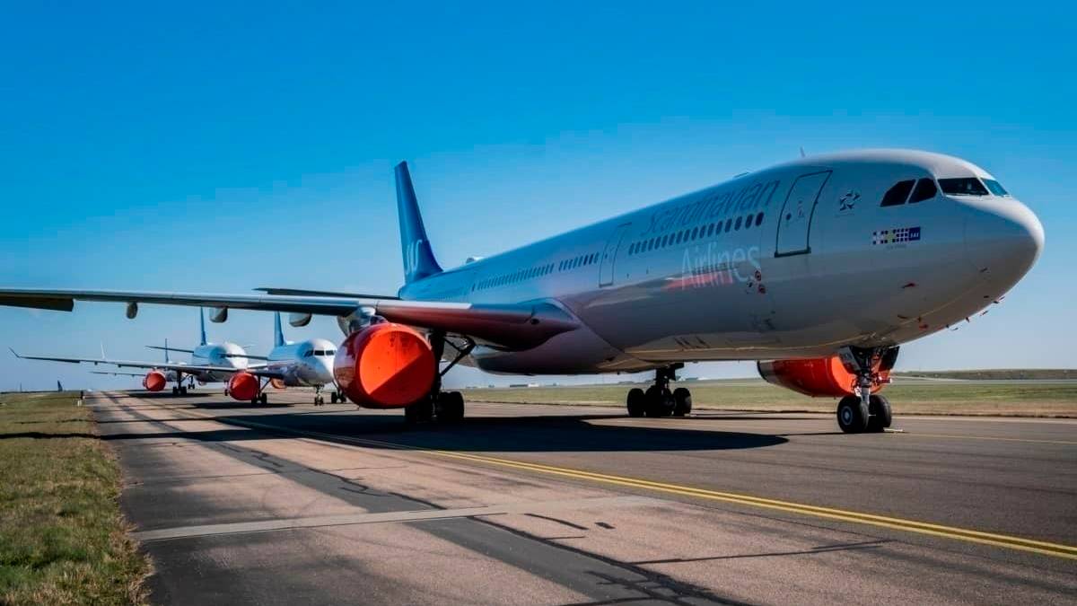 SAS Has A Comeback Plan - Here's What You Need To Know