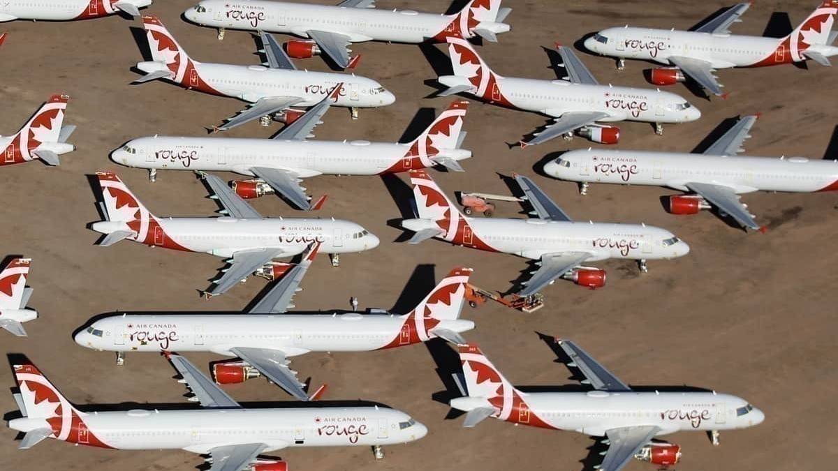 A Vaccine VS. Border Openings - What's Needed More To Restore Travel Demand?