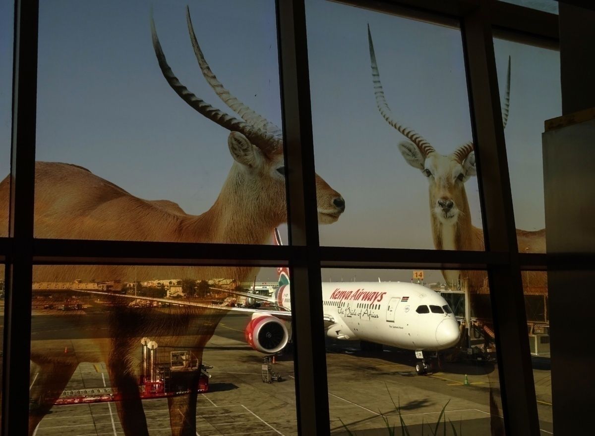 What COVID Means For The African Aviation Industry
