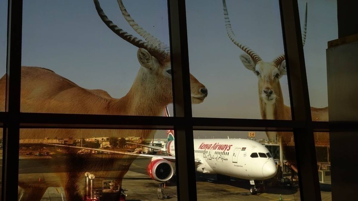 What COVID Means For The African Aviation Industry