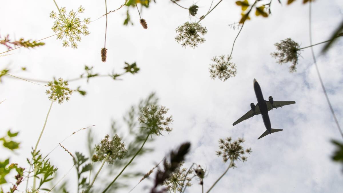 Should Airlines Use The Pandemic To Focus On Their Environmental Commitments?