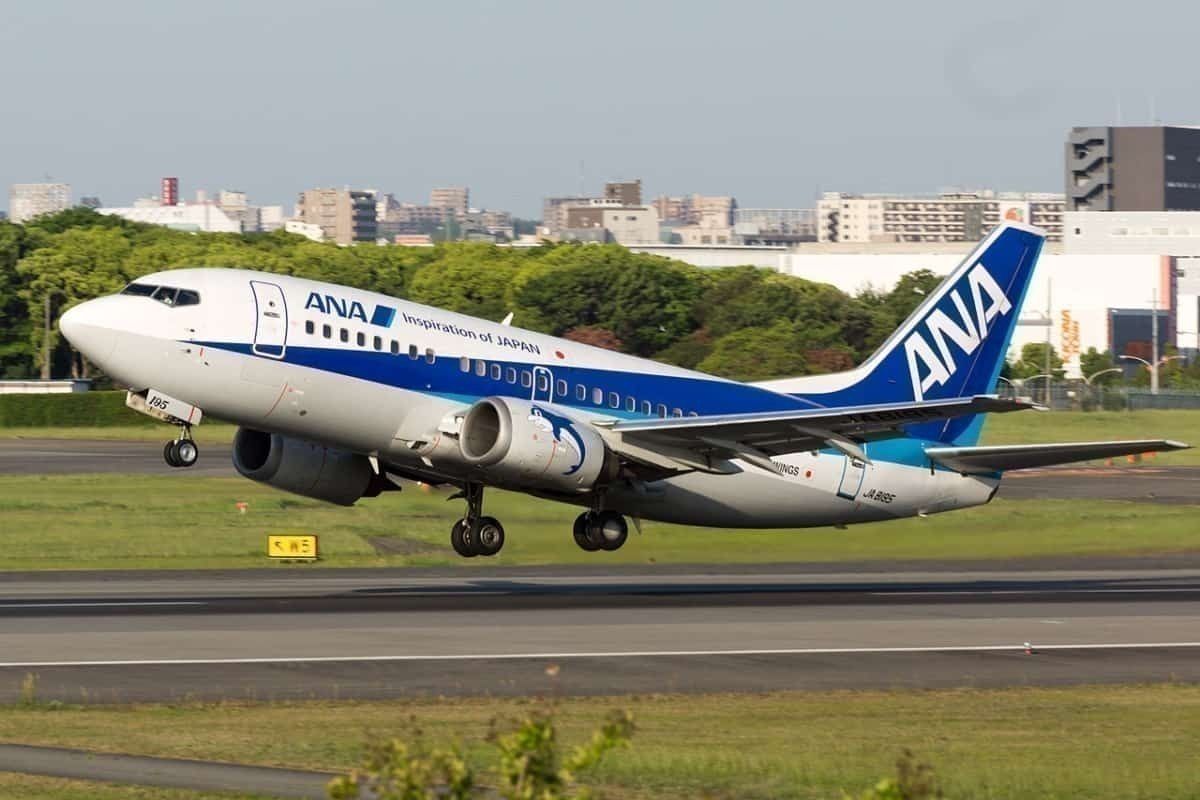 ANA-Wings-Boeing-737-500.jpg?w