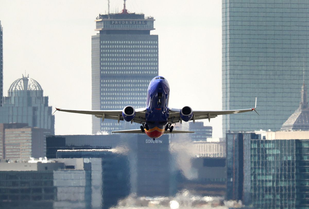 Southwest Flight Attendant Flies Adopted Puppy 2000 Miles