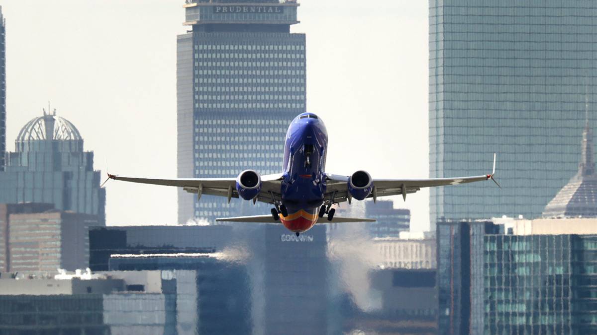Southwest Flight Attendant Flies Adopted Puppy 2000 Miles