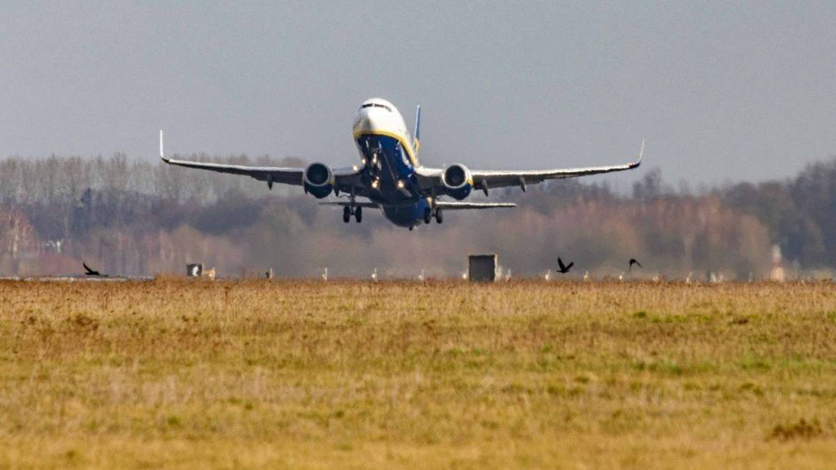 How Many Boeing 737 Variants Are There?
