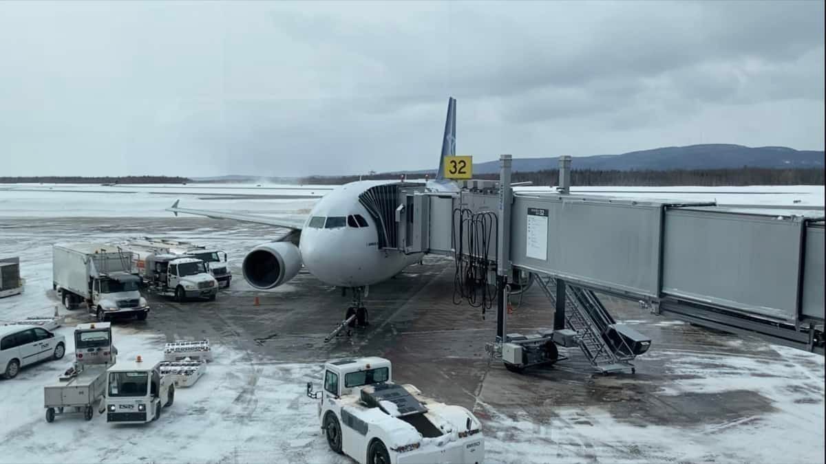 Flying A Now-Retired Aircraft: Air Transat A310 Review