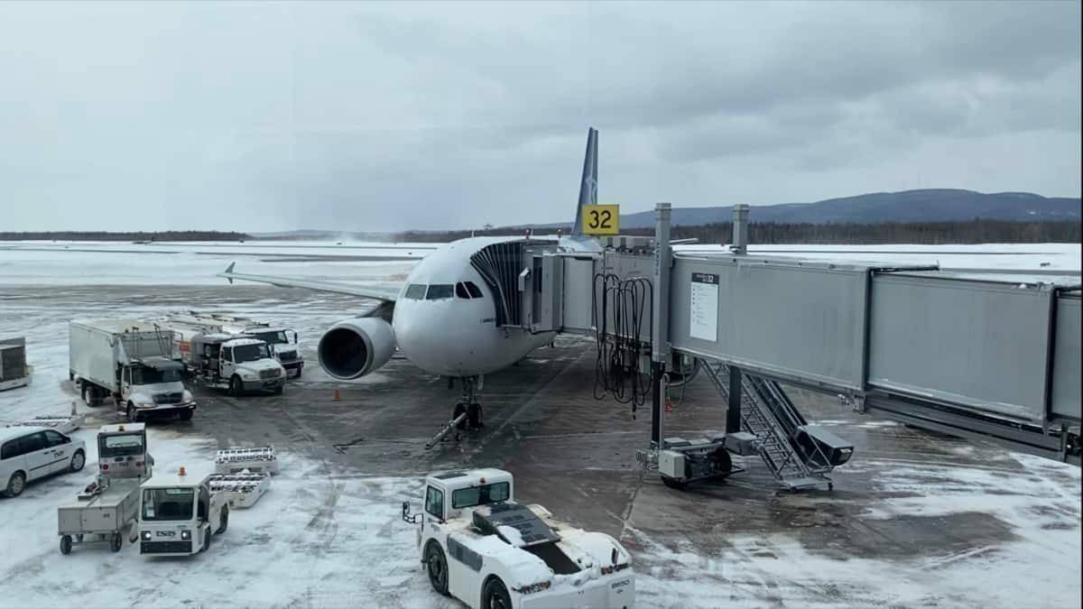 Flying A Now-Retired Aircraft: Air Transat A310 Review