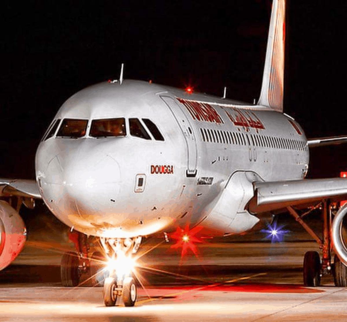 Tunisair Airbus A320 Lands In Munich With Dead Pigeon In Nose Gear