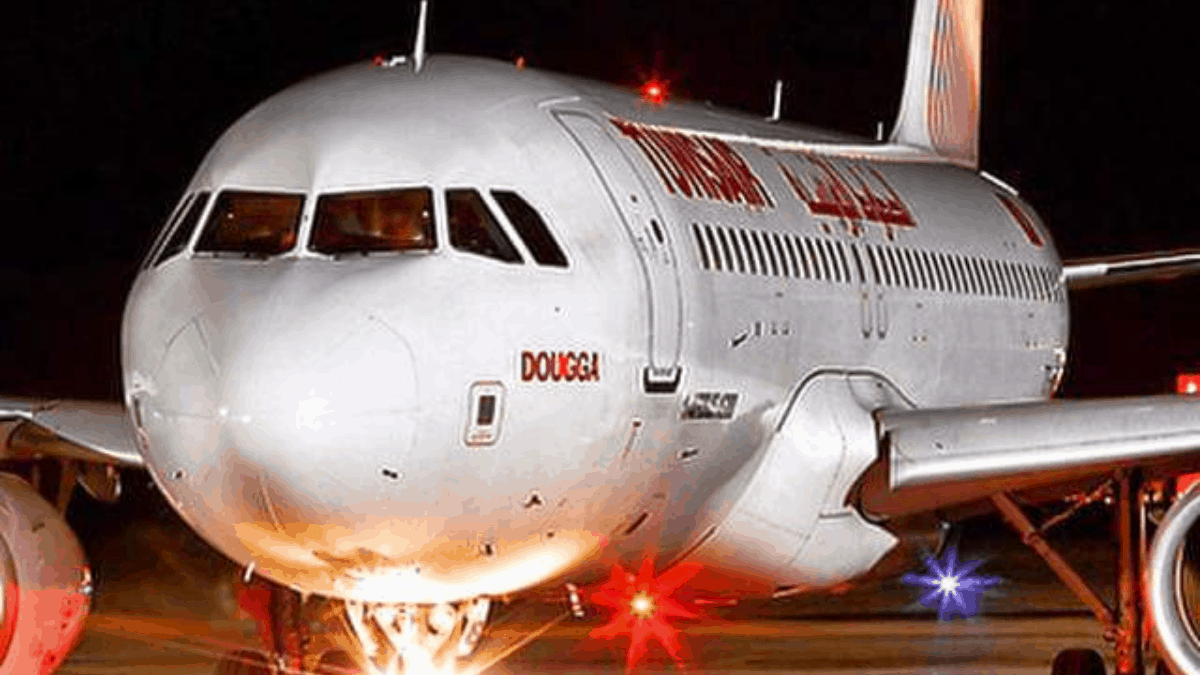 Tunisair Airbus A320 Lands In Munich With Dead Pigeon In Nose Gear