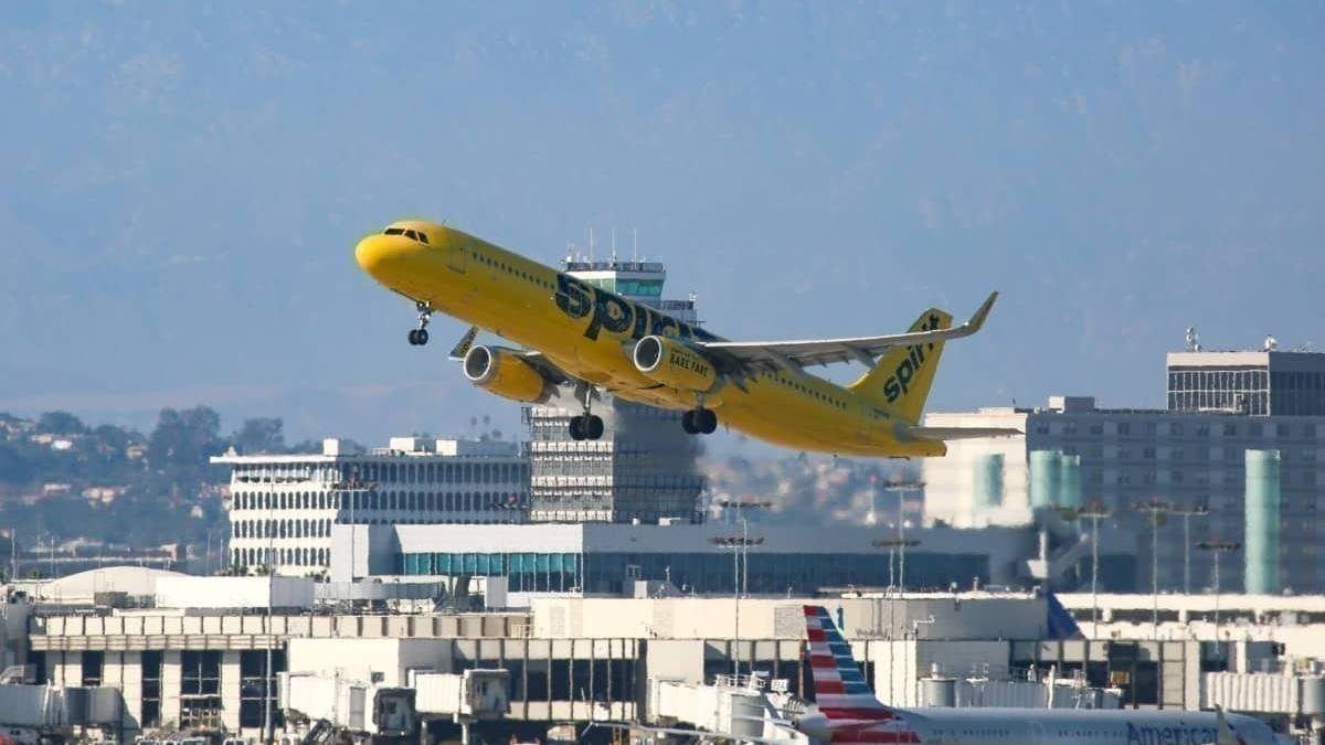 Viral Confrontation Between Spirit Airlines Employee & Passenger Leads To Suspension