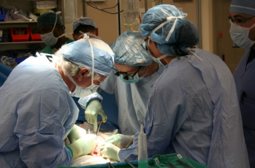 How Human Organs Are Flown For Transplants