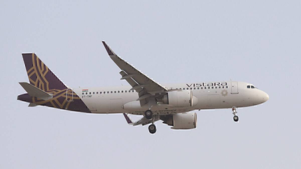 Video: Fire Engine Needed To Wash Bees Off Vistara A320