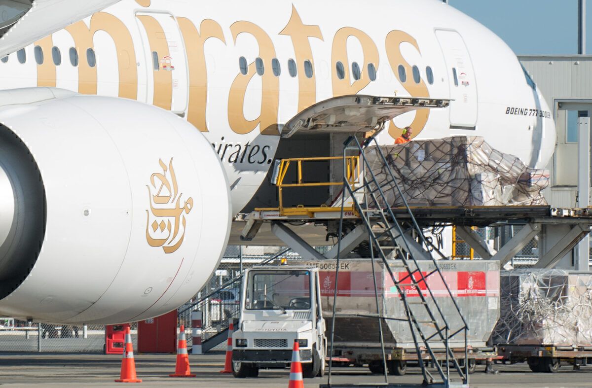 30 Weekly Christchurch Flights Move Everything From Lamb To Crayfish