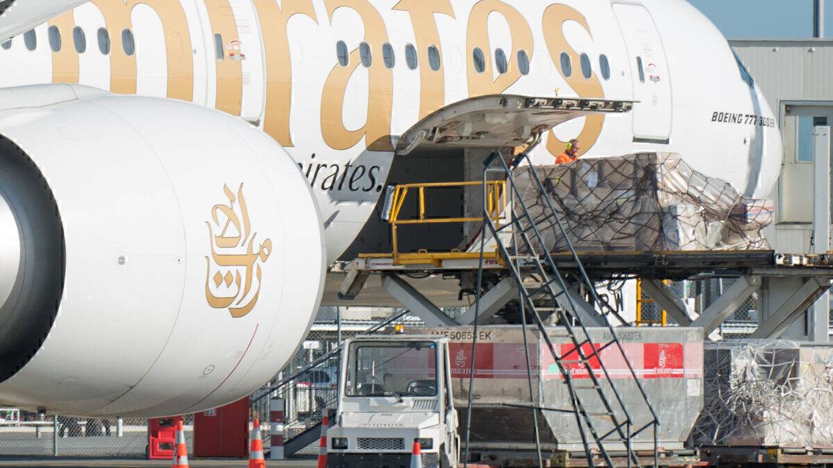 30 Weekly Christchurch Flights Move Everything From Lamb To Crayfish