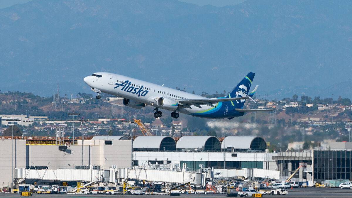 Alaska Airlines Leads The Way With Emotional Support Animal Ban