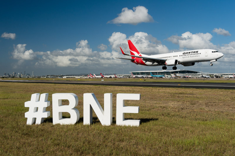 How Wasps Are Causing Havoc For Australian Aviation