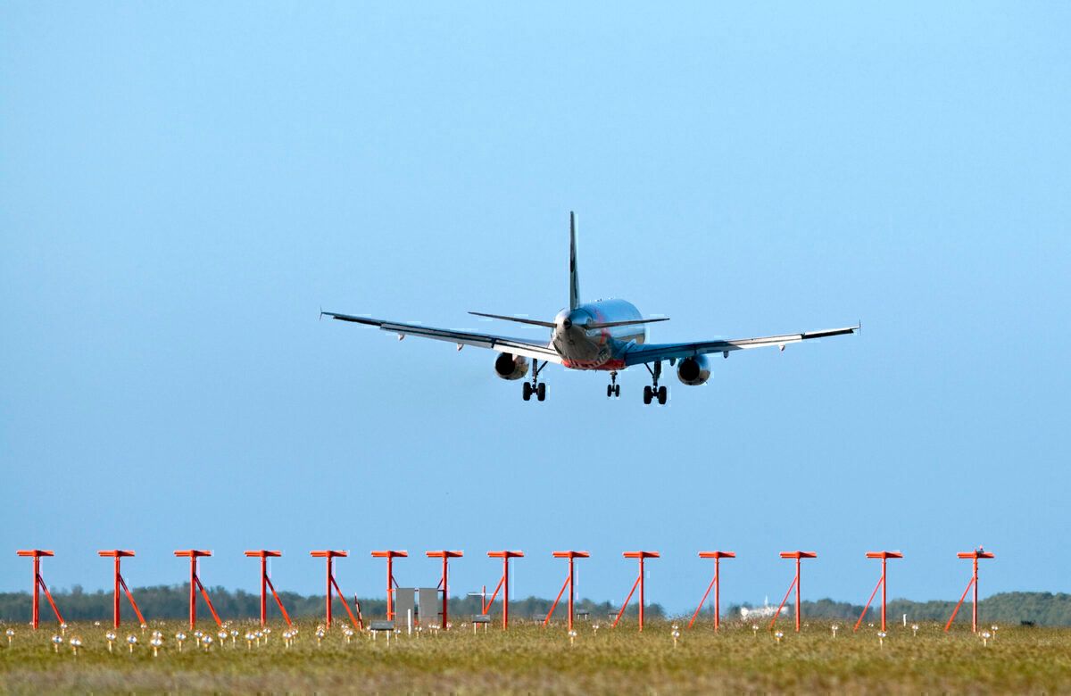 Sea World Called To Remove Fish From Brisbane Airport Drainage System