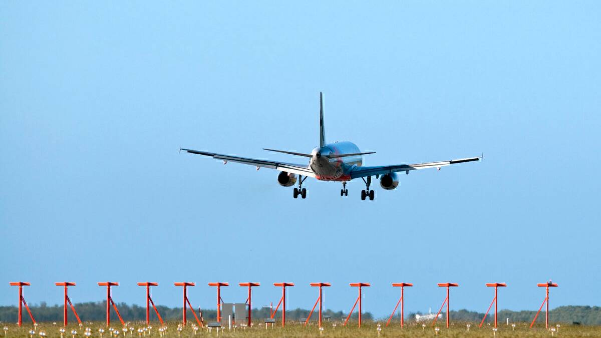 Sea World Called To Remove Fish From Brisbane Airport Drainage System