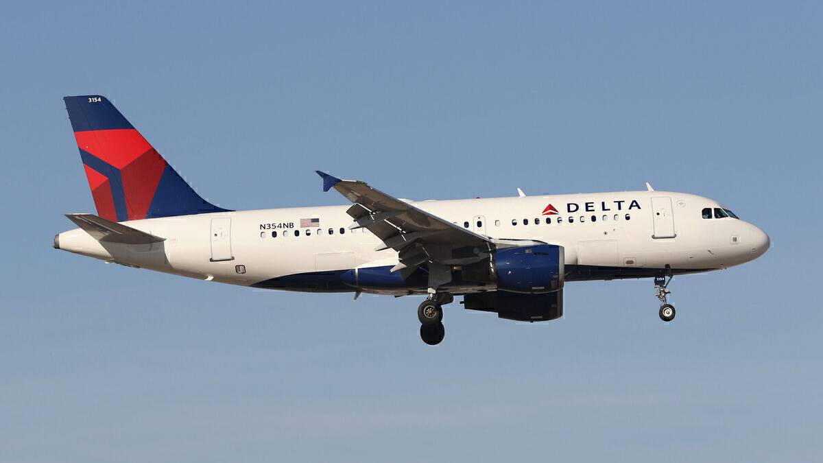 Delta Bird Strike Leads To Emergency Landing And 4.5 Hour Delay
