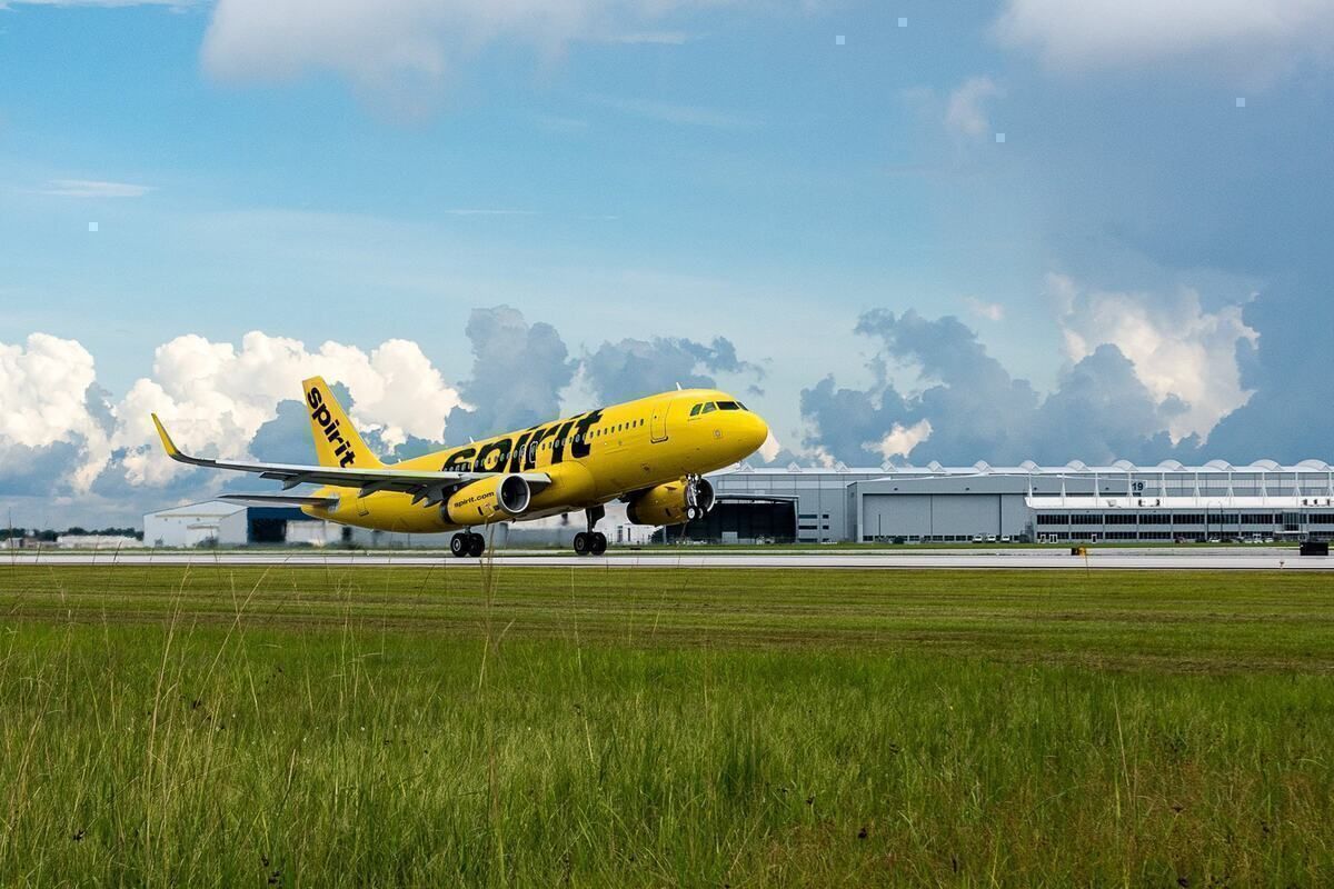 Spirit Airlines Airbus A320neo Strikes Coyote Departing Houston