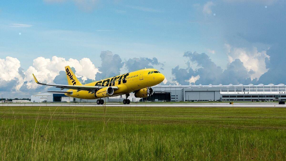 Spirit Airlines Airbus A320neo Strikes Coyote Departing Houston