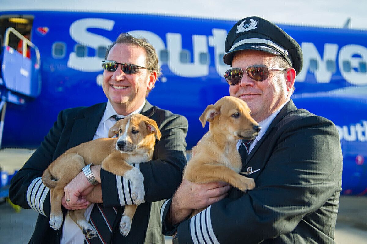 Will Other Airlines Follow Alaska And American Banning Emotional Support Animals?