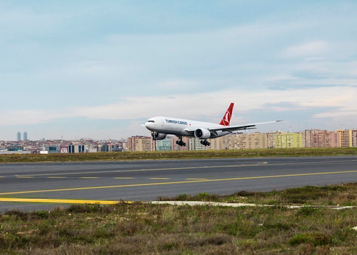 Turkish Airlines Boeing 777 Damaged After Bird Strikes