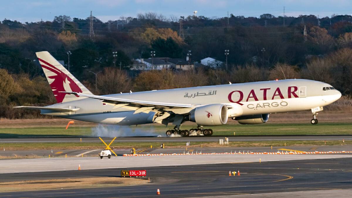 Qatar Airways Commits To Fly Wild Animals To Their Homes For Free