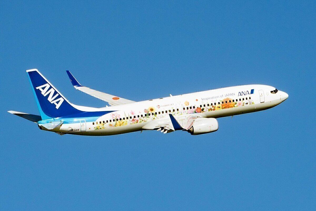 ANA 737-800 FLOWER JET 全日空 JA85AN ph ANA 737-800 FLOWER JET 全日空 JA85AN ph www.JetCollector.com