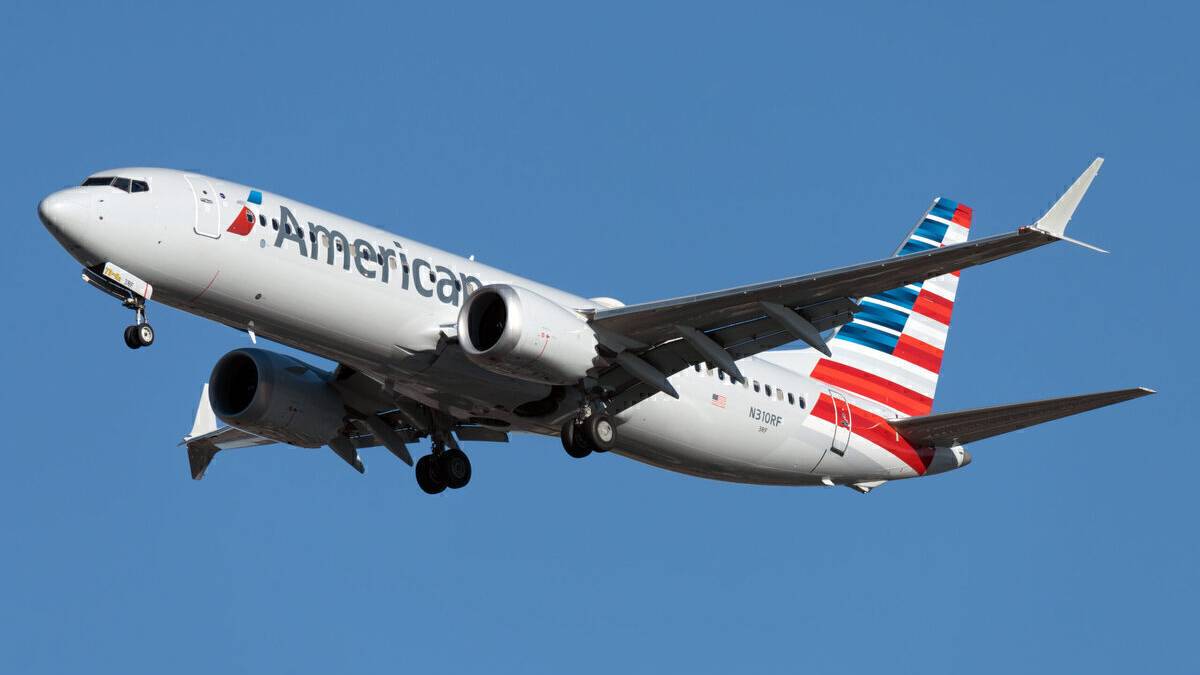 Multiple Bird Strikes Make American Airlines 737 MAX Abandon Take Off