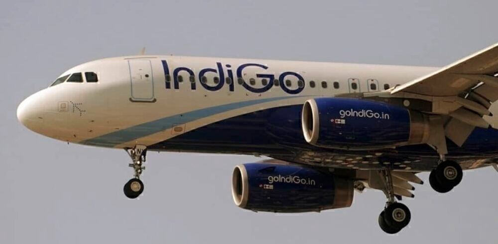IndiGo Hacked By Passenger After His Baggage Was Lost