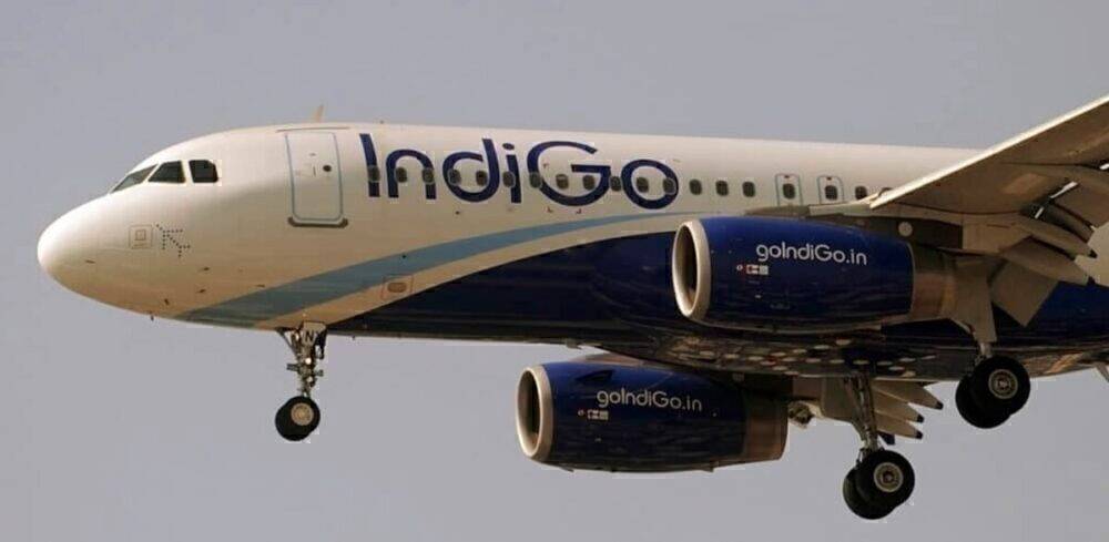 IndiGo Hacked By Passenger After His Baggage Was Lost
